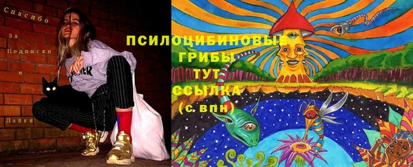прущие грибы Алексин
