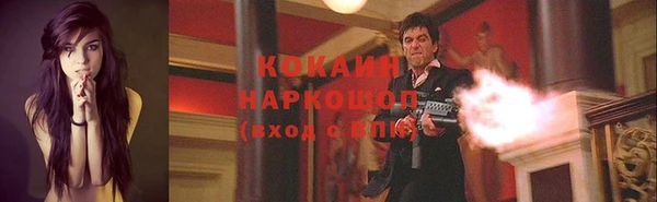 прущие грибы Алексин