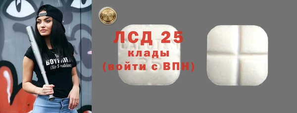гидра Алексеевка