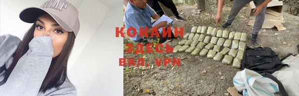 гидра Алексеевка